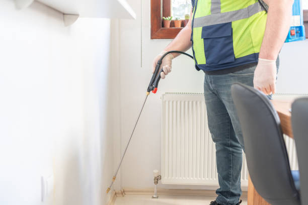 Reliable Ojai, CA Pest Control Solutions