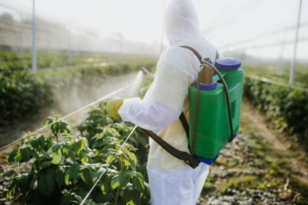  Ojai, CA Pest Control Pros